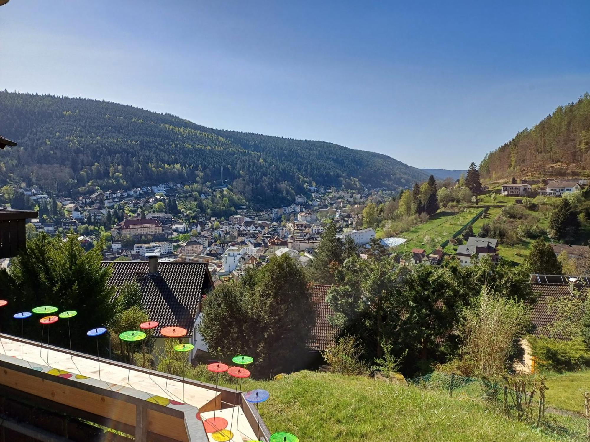 Ferienwohnung Panoramablick バート・ヴィルトバート エクステリア 写真